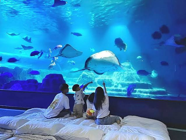 海洋世界水族館水中景觀